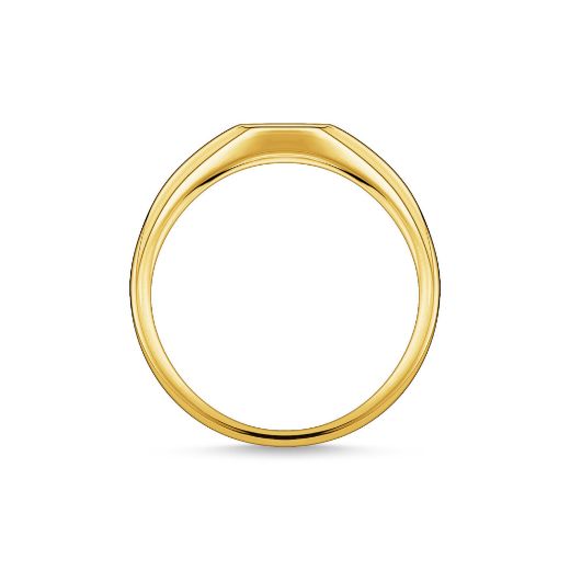 Picture of Small Star Signet Ring in Gold