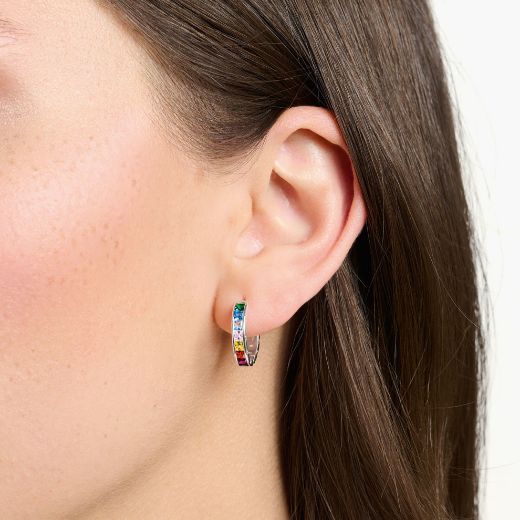 Picture of Rainbow Heritage Colourful Pave Hoop Earrings