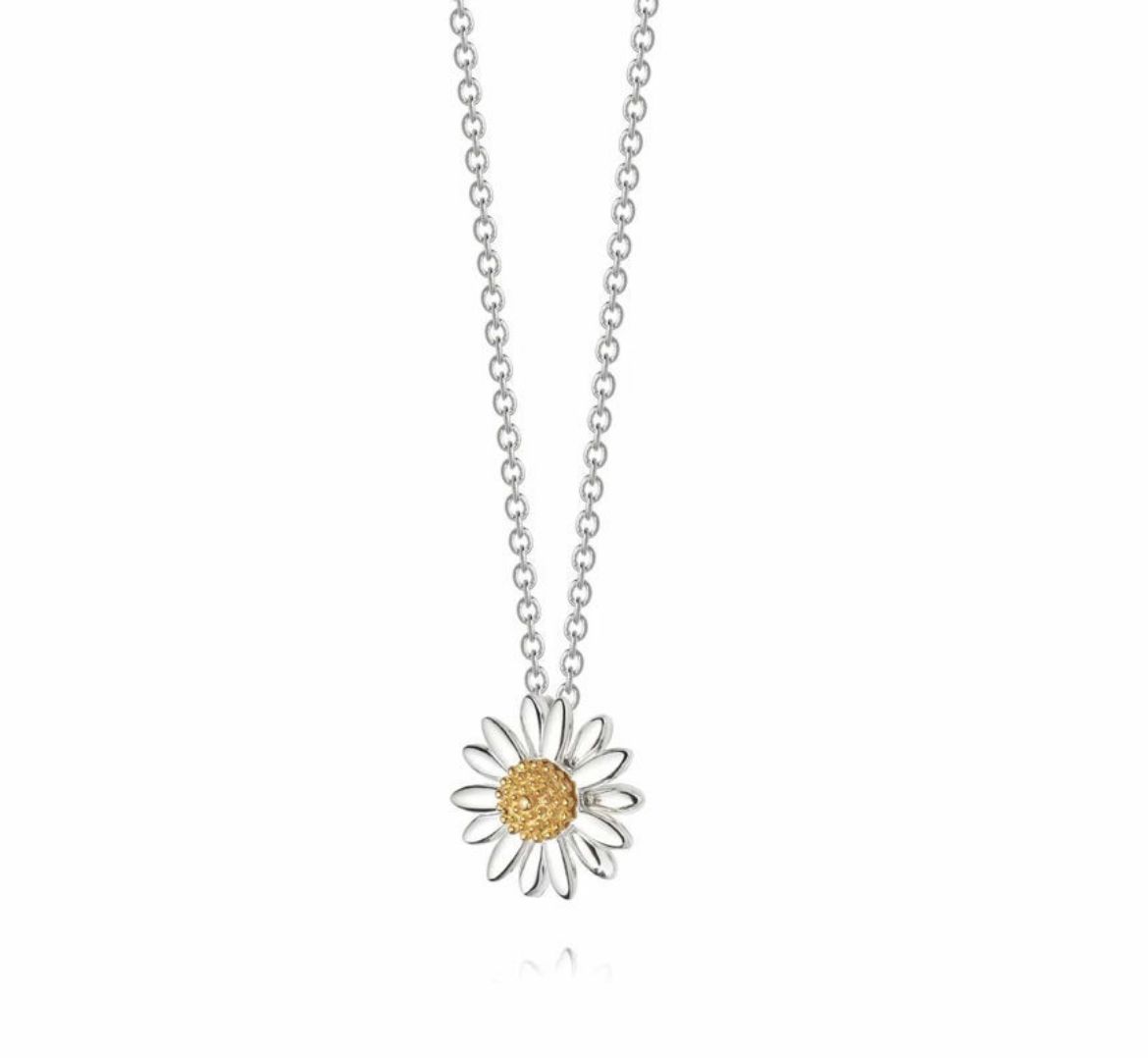 Picture of English Daisy Necklace in Silver 12mm