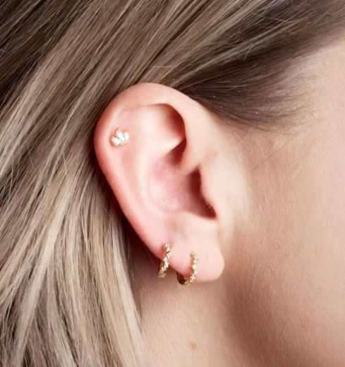 Picture of Crown Barbell Single Stud in Gold