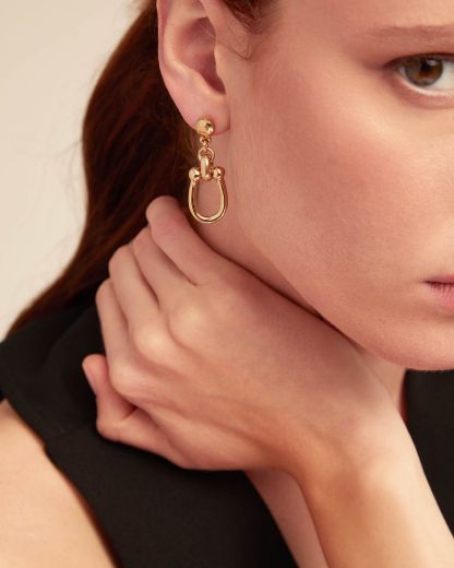 Picture of Serotonin Link Earrings in Gold 