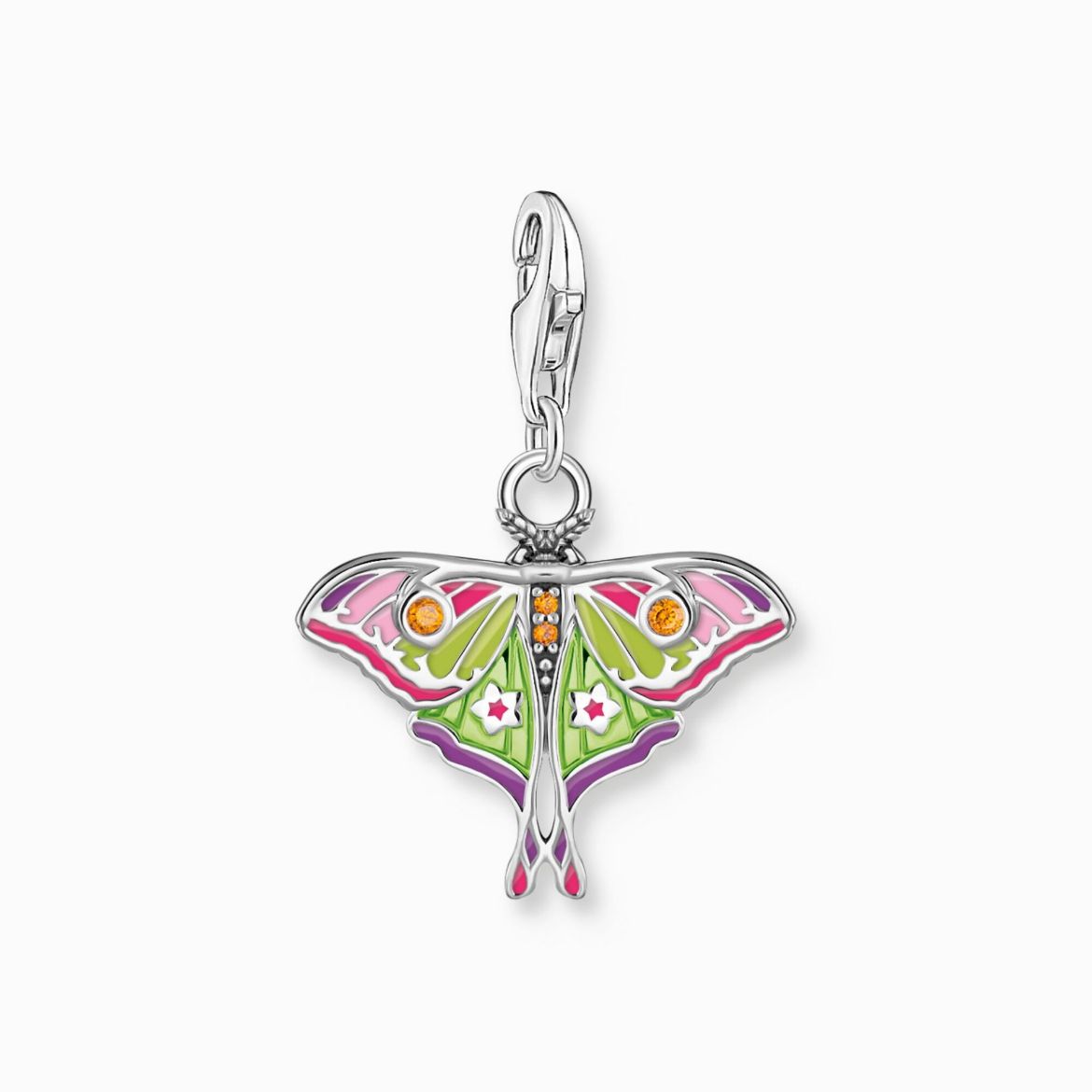Picture of Colourful Moth Silver Charm 