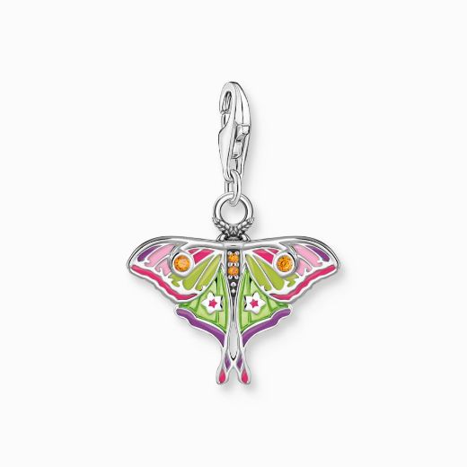 Picture of Colourful Moth Silver Charm 