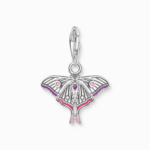 Picture of Colourful Moth Silver Charm 