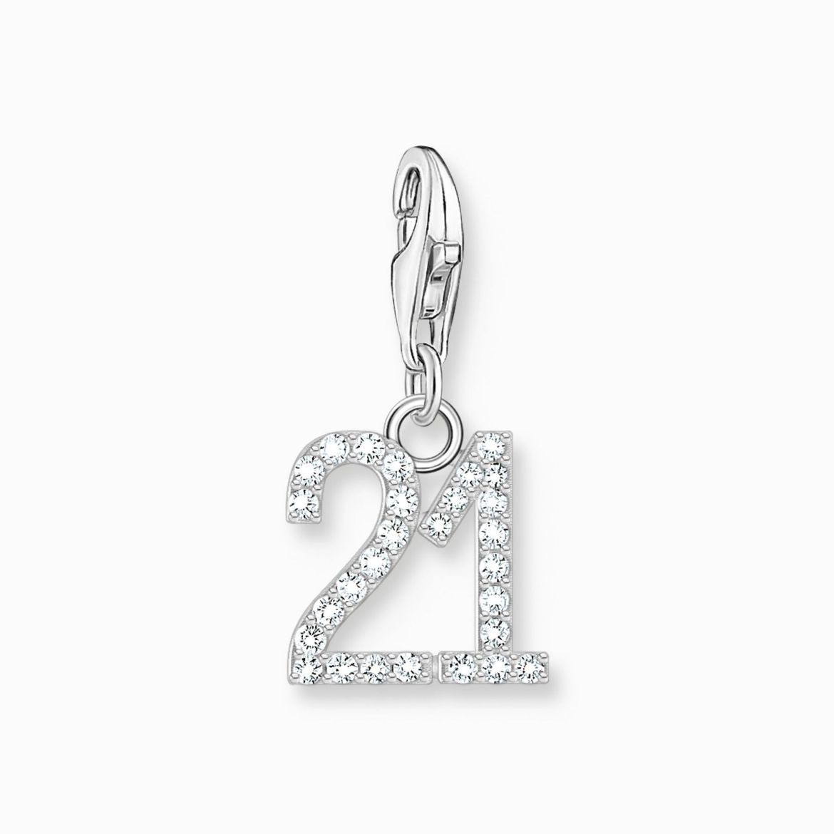 Picture of Number 21 Charm 
