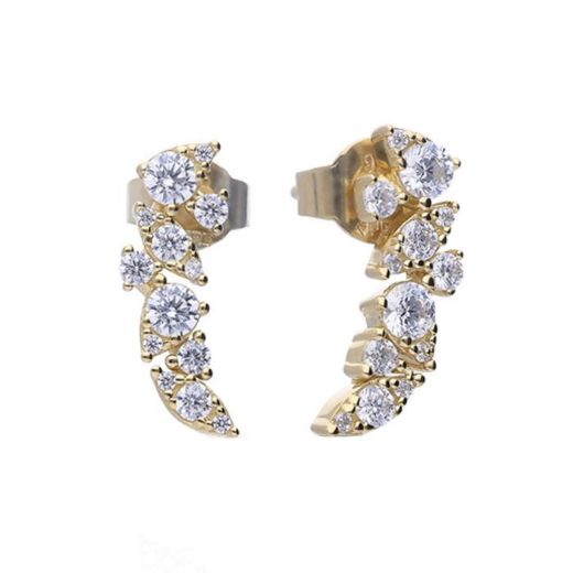 Picture of Cluster Zirconia Drop Earrings Gold 